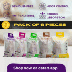 bentonite good price 6 pieces