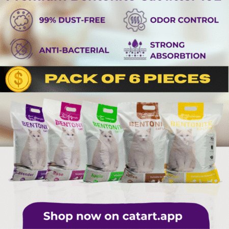 bentonite good price 6 pieces