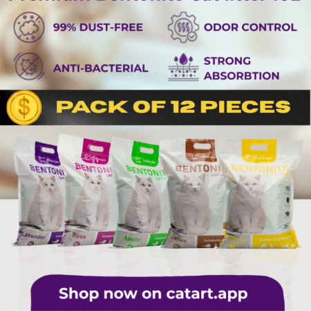 Cat litter Bentonite 10L 12 pieces pack + free delivery in Doha