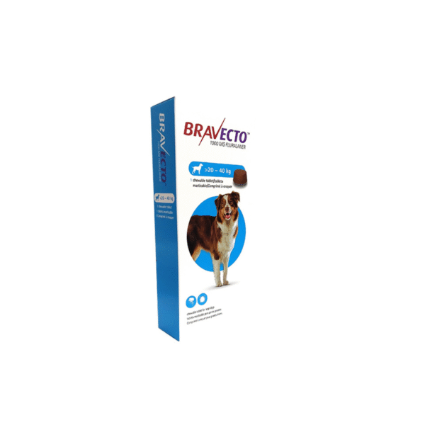Bravecto Chew 1000mg (20-40kg) MSD