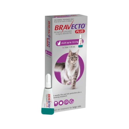Bravecto PLUS For Large Cats 500mg (6.25-12.5kg) MSD