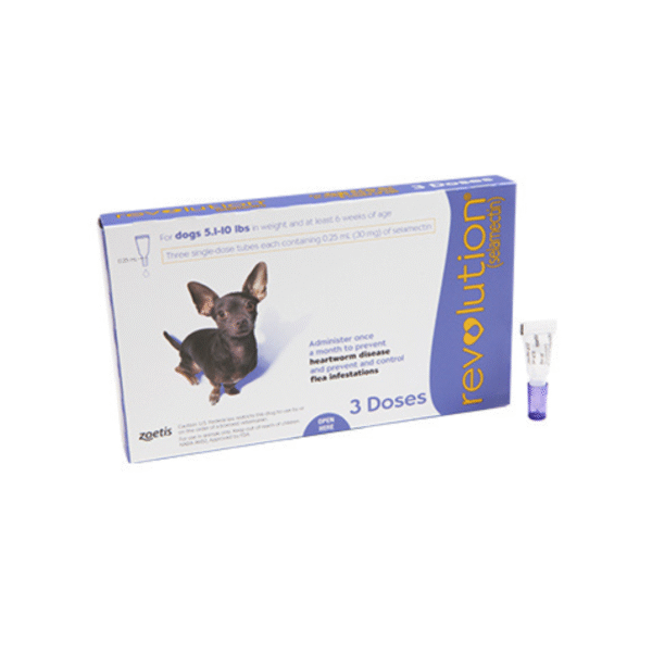 revolution for dogs zoetis selamectin spot on
