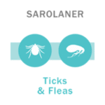 Simparica Trio Benefits