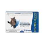 revolution for cats zoetis selamectin spot on