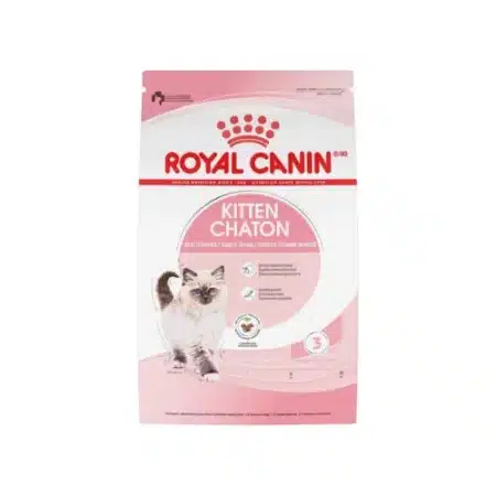 Dry food kitten royal canin