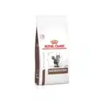 Gastrointestinal Dry Food For Cat Royal canin