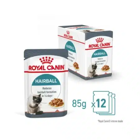 Hairball care wet food for cat Royal canin