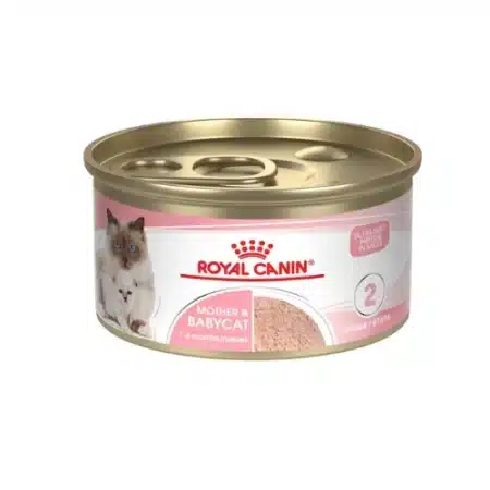 Mother and baby wet food for cat royal canin