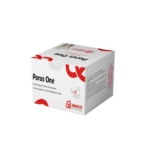 A cat receiving its daily dose of Porus One kidney health supplement mixed with food.