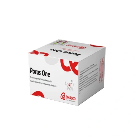 A cat receiving its daily dose of Porus One kidney health supplement mixed with food.