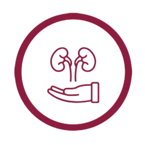 Kidney