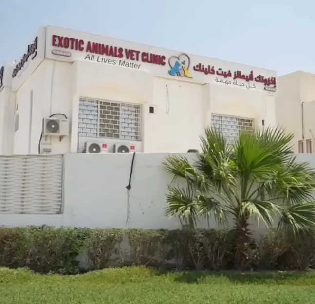 EXOTIC Animals Vet Clinic Qatar