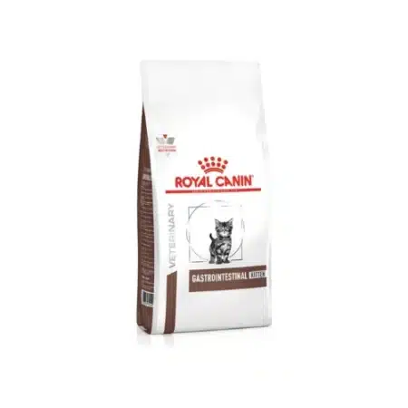 gastrointestinal kitten dry food for cat royal canin