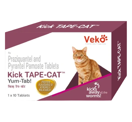 kick tape cat veko deworming one box 10 tab for 2 kg bw