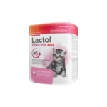 lactol milk powder for kitten beaphar 500g