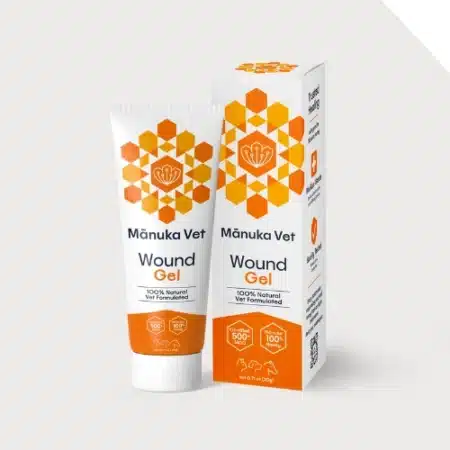 manuka honey vet gel for animals pets and horses