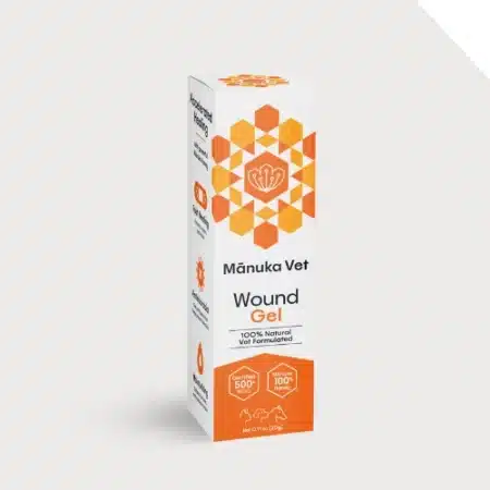 manuka honey vet gel for animals pets and horses