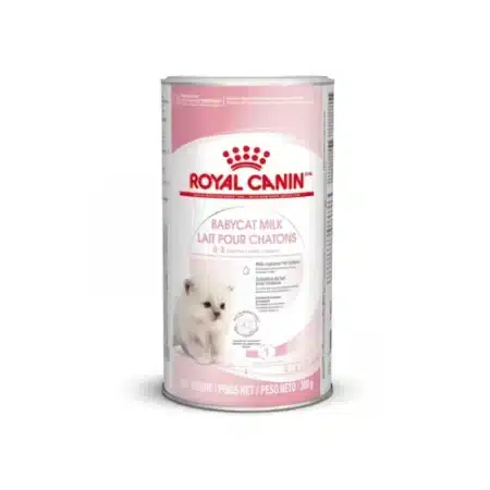 milk replacer for new born kitten royal canin
