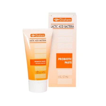 Probiotic Paste Diafarm lactic acid bacteria for cat and dog
