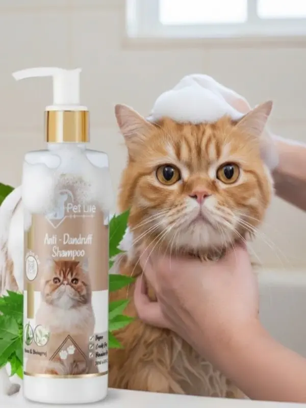 Shampoo