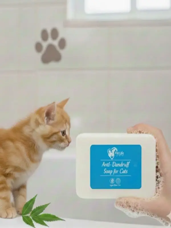 Soap